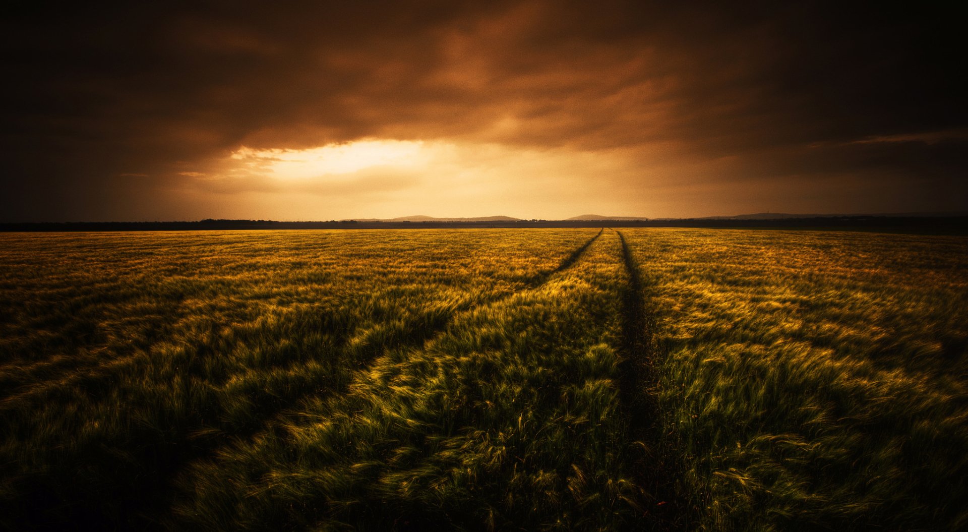 Download Nature Landscape Summer Field HD Wallpaper | 2048x1125 ...