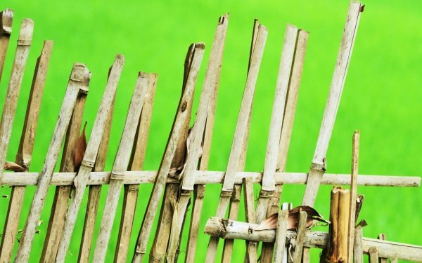 Man Made Fence Bamboo Green Blur HD Wallpaper | Background Image