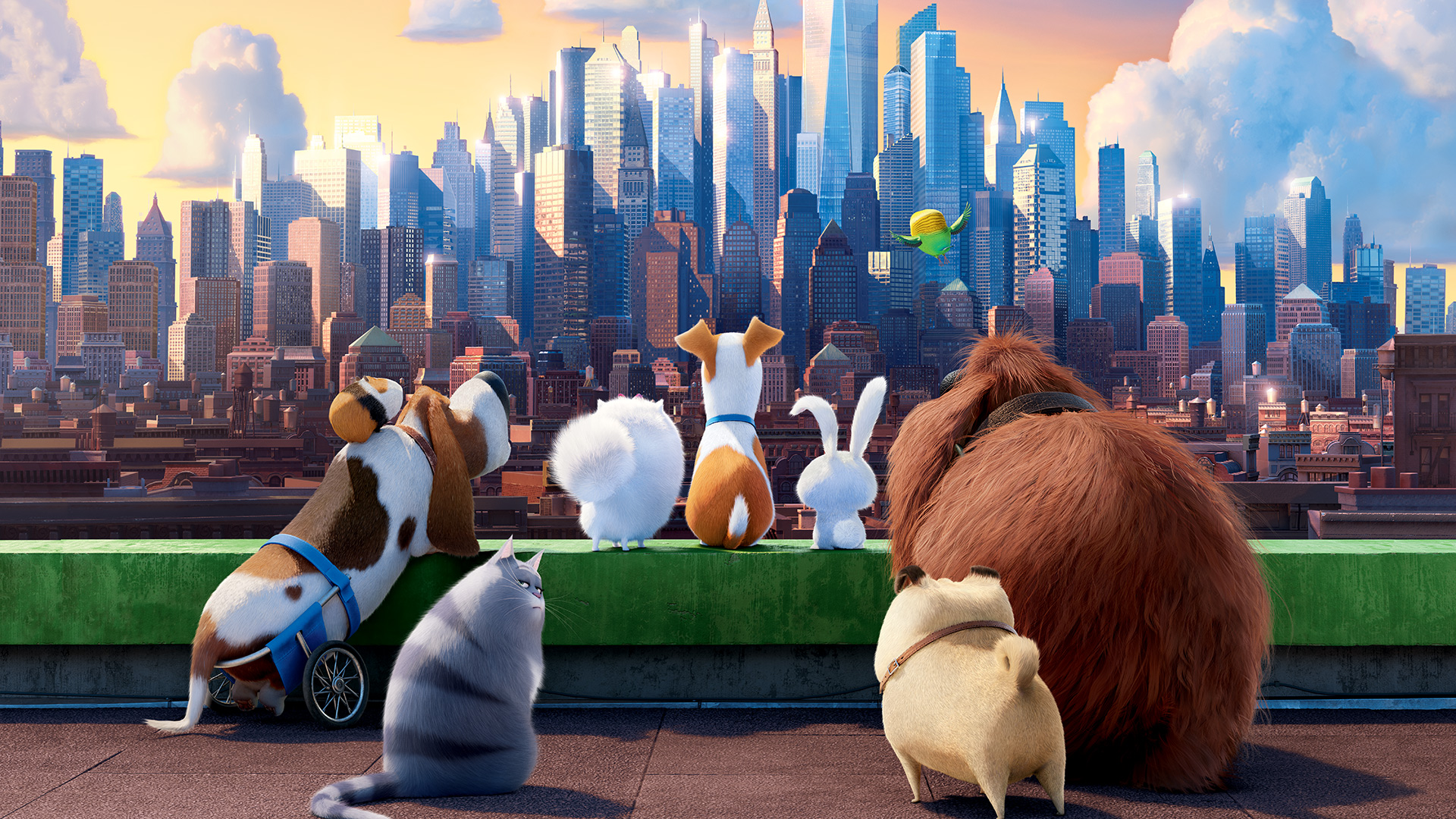 The Secret Life of Pets download the new version for windows