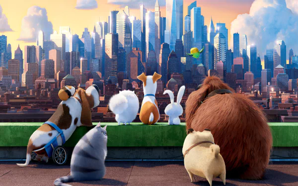 A vibrant HD wallpaper from The Secret Life of Pets, featuring a group of beloved animals gazing over a city skyline with a sense of adventure and curiosity.
