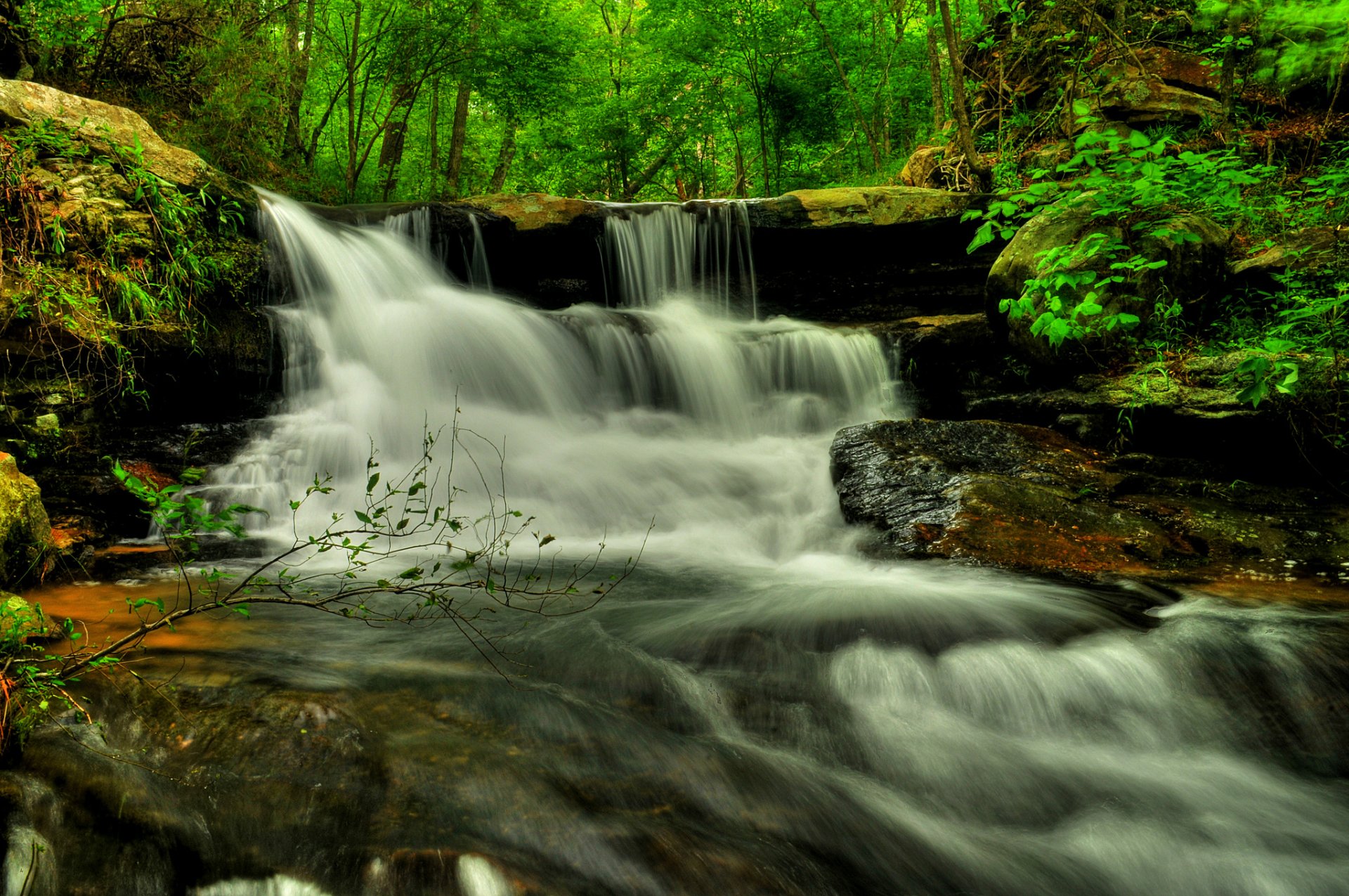 Forest Waterfall