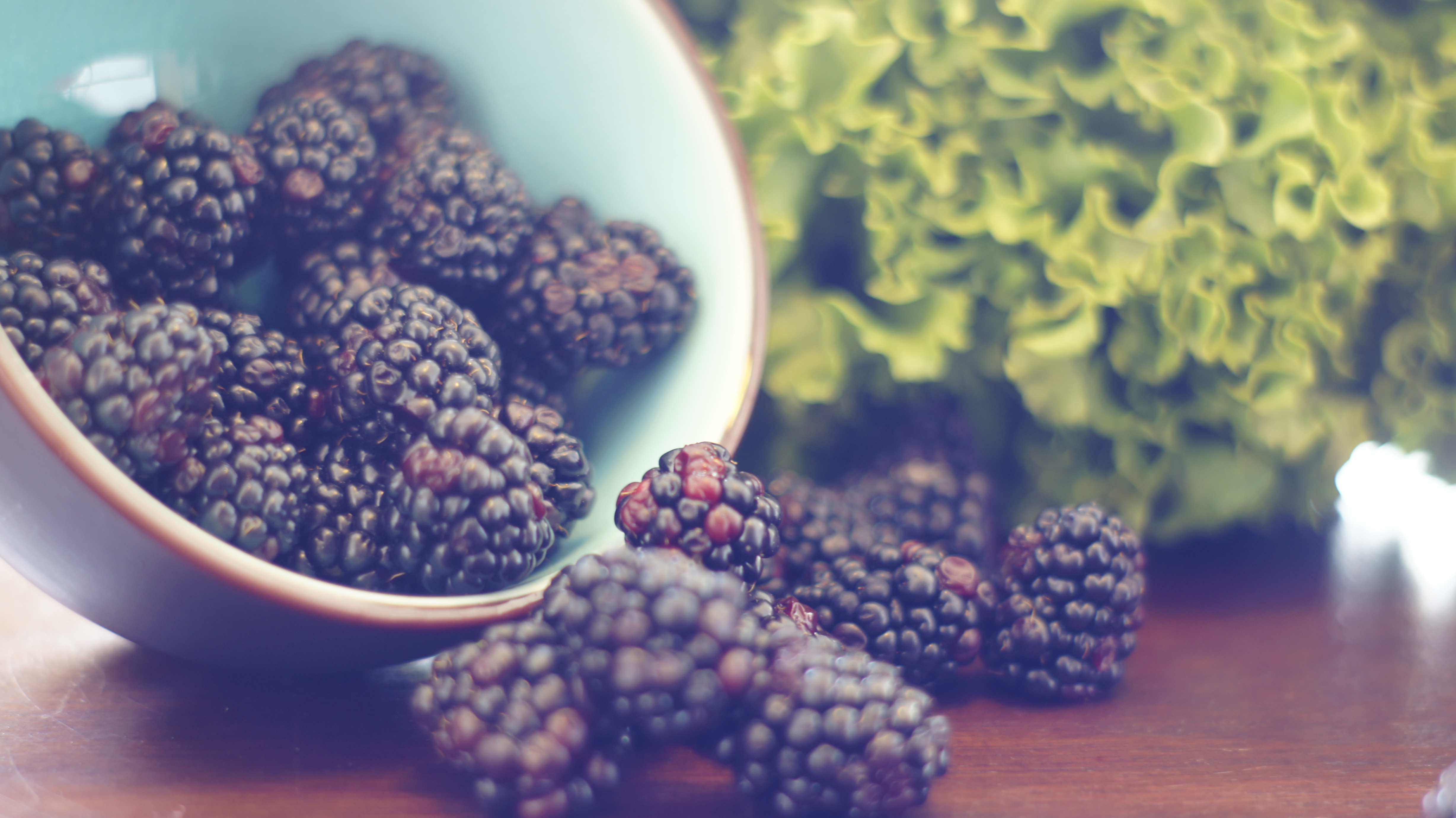 Food Blackberry HD Wallpaper | Background Image