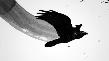 Black & White ink Animal crow HD Desktop Wallpaper | Background Image