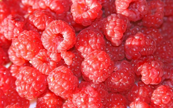 Food Raspberry Fruits Berry Close-Up Fruit HD Wallpaper | Background Image