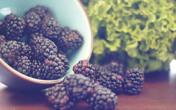 4K Ultra HD PC desktop wallpaper: close-up of ripe blackberries spilling from a bowl with leafy greens softly blurred in the background, fruit berry food backdrop.
