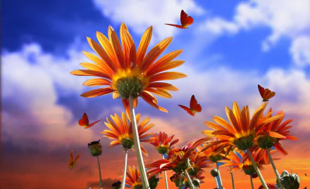  Flowers and Butterflies