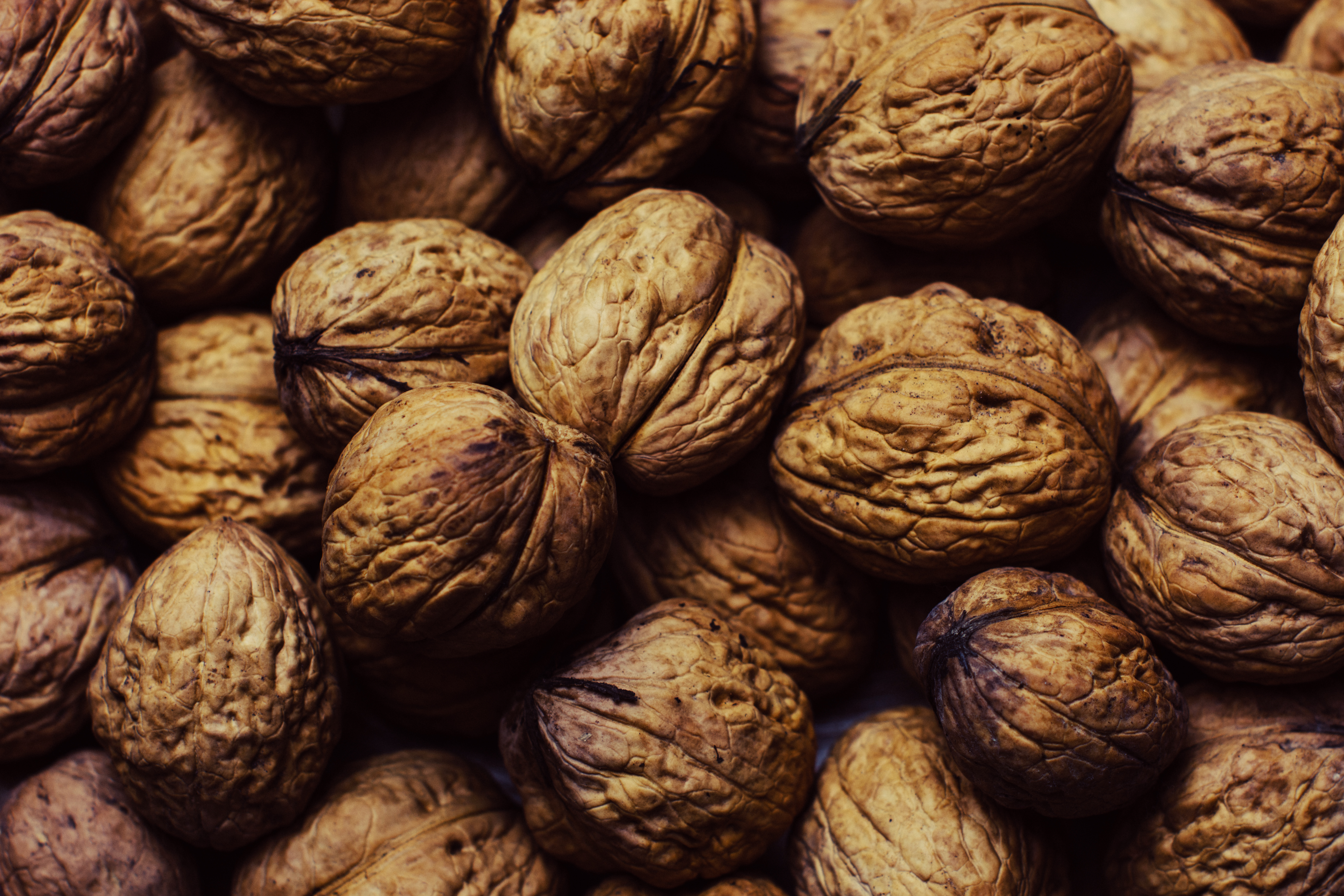 Walnut Wallpapers  Top Free Walnut Backgrounds  WallpaperAccess