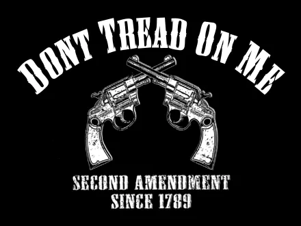 Misc 2nd amendment HD Desktop Wallpaper | Background Image
