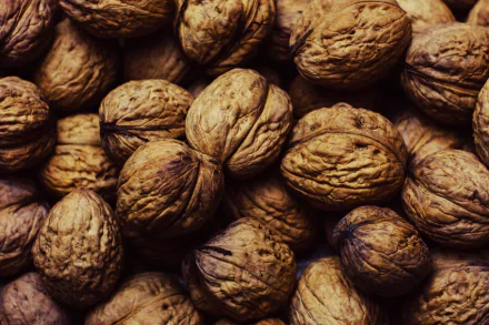 food walnut HD Desktop Wallpaper | Background Image