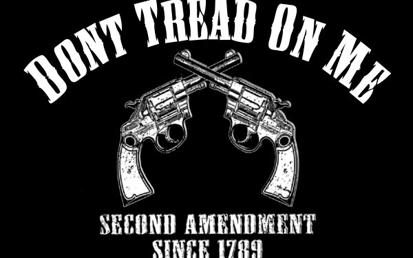 2Nd Amendment HD Wallpaper | Background Image | 3972x2039