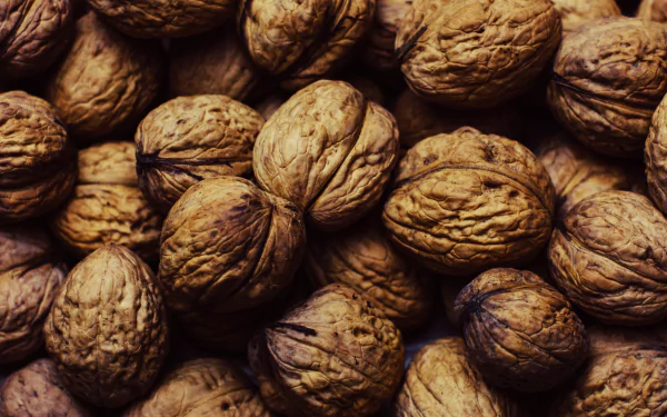 food walnut HD Desktop Wallpaper | Background Image