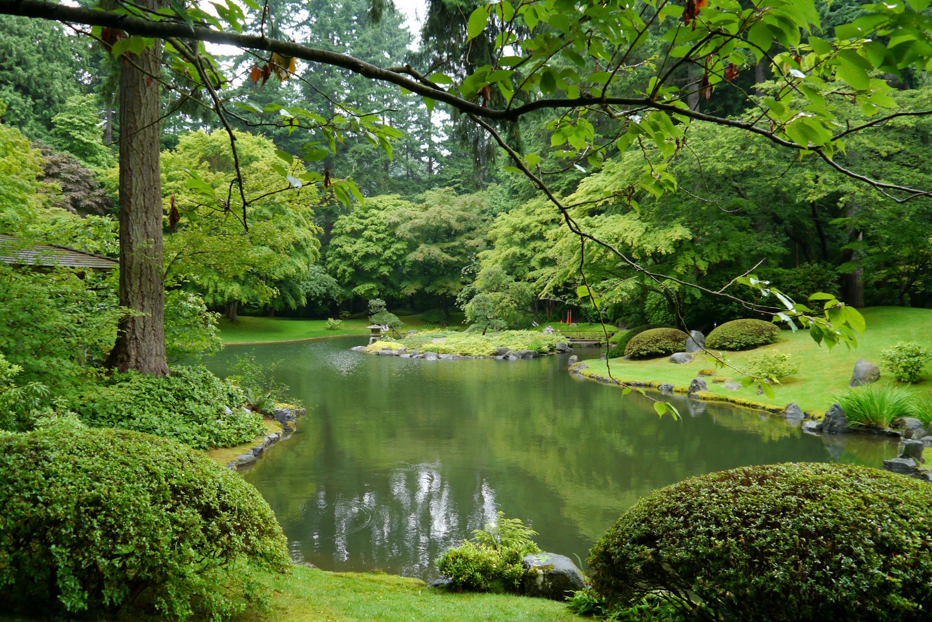 A serene park scene in Vancouver, Canada, featuring lush greenery, a tranquil pond, and neatly trimmed bushes, creating a peaceful natural landscape for a stunning desktop wallpaper.