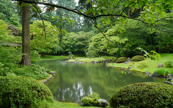 A serene park scene in Vancouver, Canada, featuring lush greenery, a tranquil pond, and neatly trimmed bushes, creating a peaceful natural landscape for a stunning desktop wallpaper.