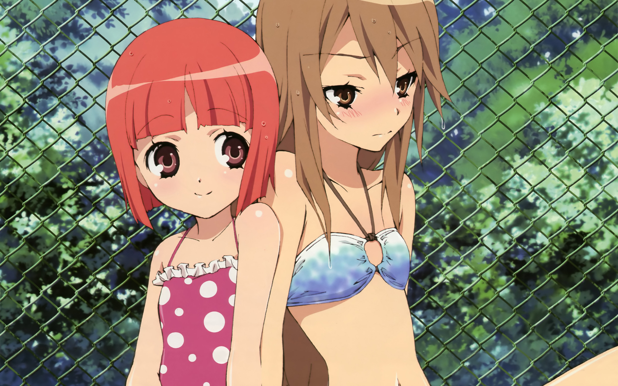 Ookami-san To Eroi Koto Scan 1 Vf Download Anime Ookami-san To Shichinin No Nakama-tachi HD Wallpaper