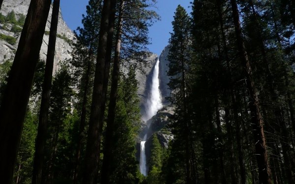 Nature Yosemite Falls Waterfalls Waterfall Forest Tree HD Wallpaper | Background Image