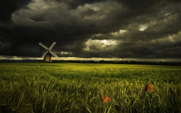 Man Made Windmill Field Nature Cloud Landscape Summer Wheat HD Wallpaper | Background Image