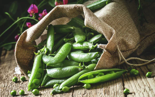food pea HD Desktop Wallpaper | Background Image