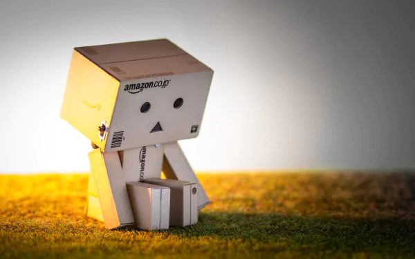 A sad Danbo figure sits quietly on a grassy surface, illuminated by a warm light, creating a poignant atmosphere in this HD desktop wallpaper.