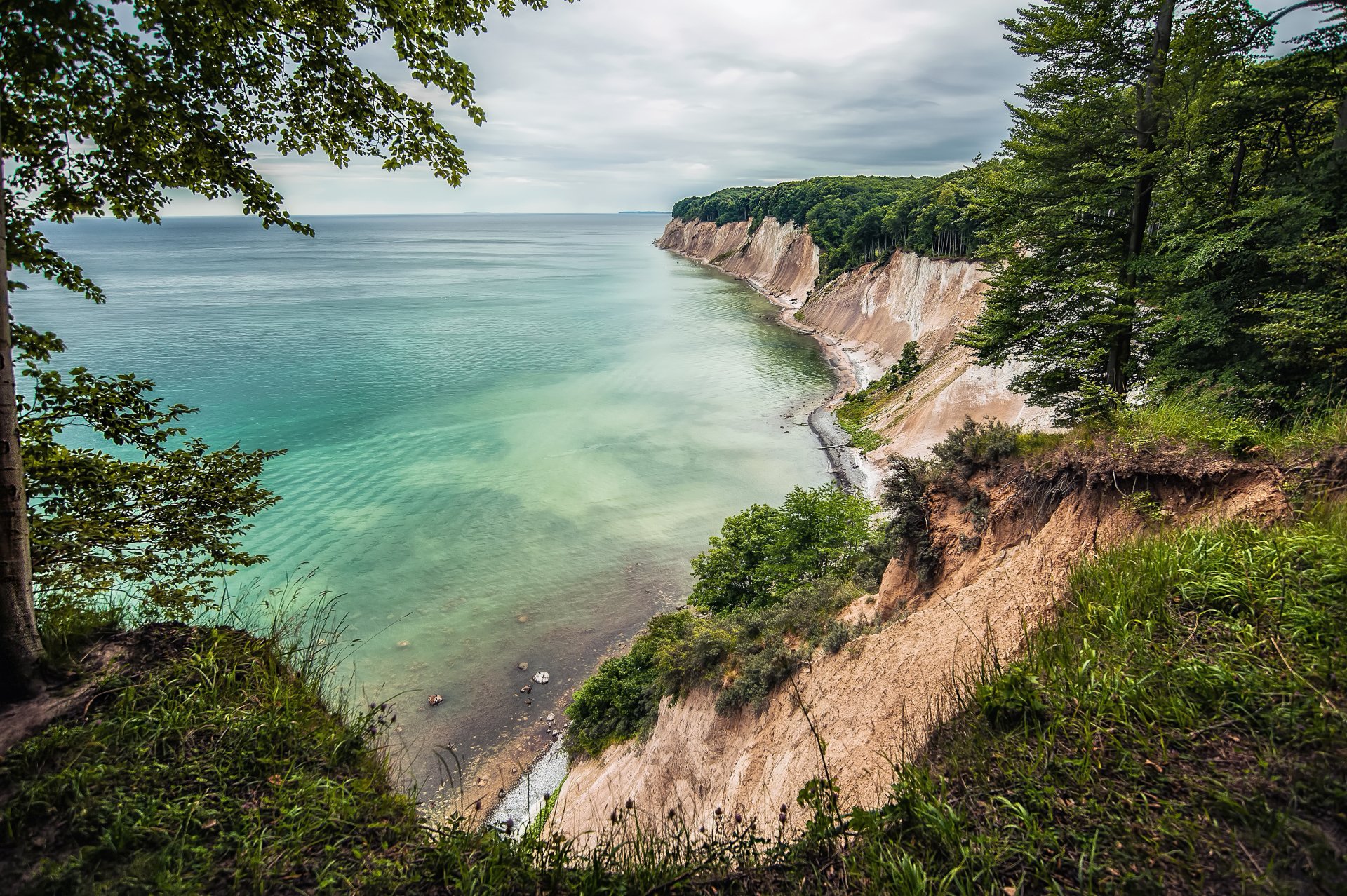 Download Horizon Tree Cliff Sea Ocean Nature Coastline 4k Ultra HD ...