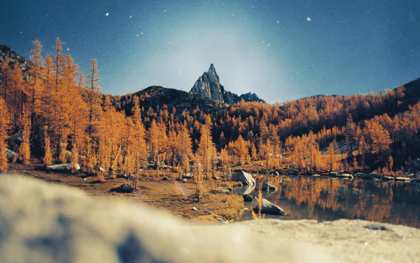 HD wallpaper of a serene lake reflecting a forest and a mountain peak under a starry sky, capturing the beauty of autumn foliage.