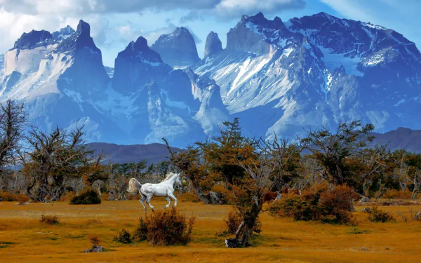 Horse grazing in autumnal landscape with rugged mountains of Torres del Paine National Park, Patagonia, Chile under a partly cloudy sky.