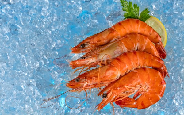 Food Shrimp Seafood Ice HD Wallpaper | Background Image