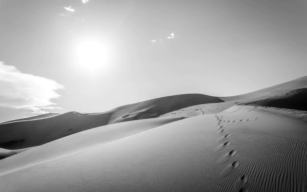 footprint Black &amp; White sand dune sand nature desert HD Desktop Wallpaper | Background Image