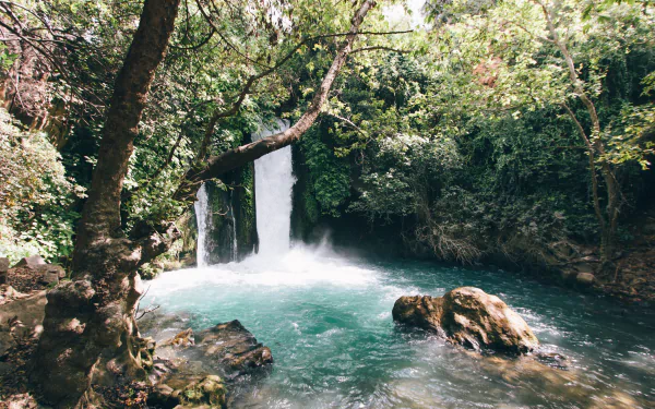 pond nature waterfall HD Desktop Wallpaper | Background Image