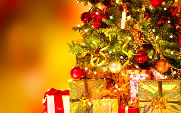 Holiday Christmas Gift Christmas Tree Golden HD Wallpaper | Background Image