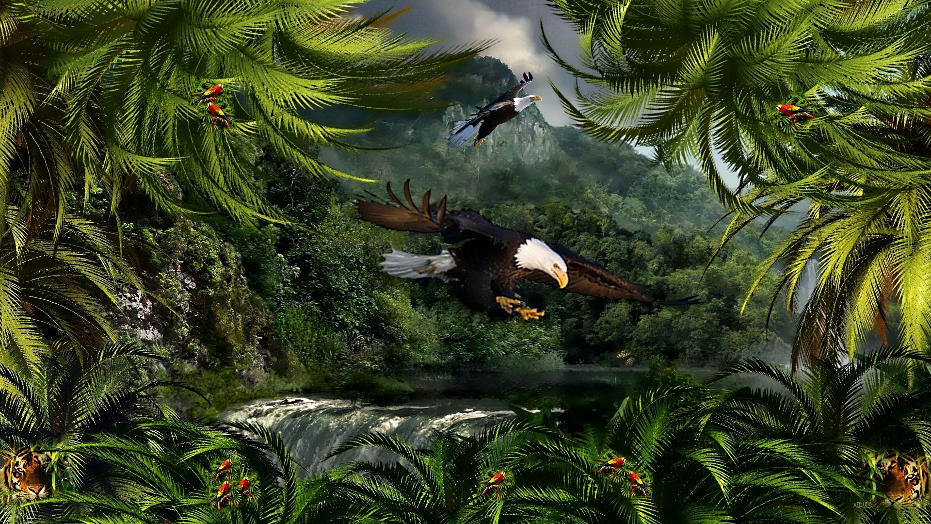 Fantasy Bird HD Wallpaper | Background Image