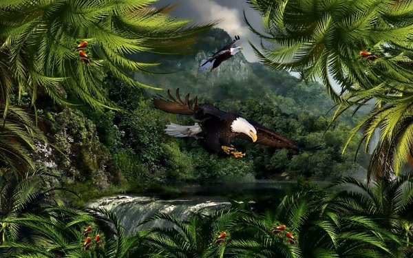Fantasía Pájaro Animales de fantasía Rainforest Bosque Águila Fondo de pantalla HD | Fondo de Escritorio