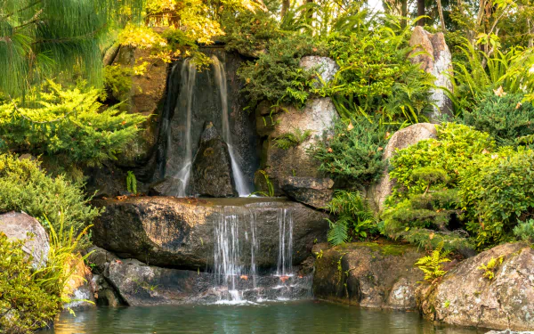 bush nature waterfall HD Desktop Wallpaper | Background Image