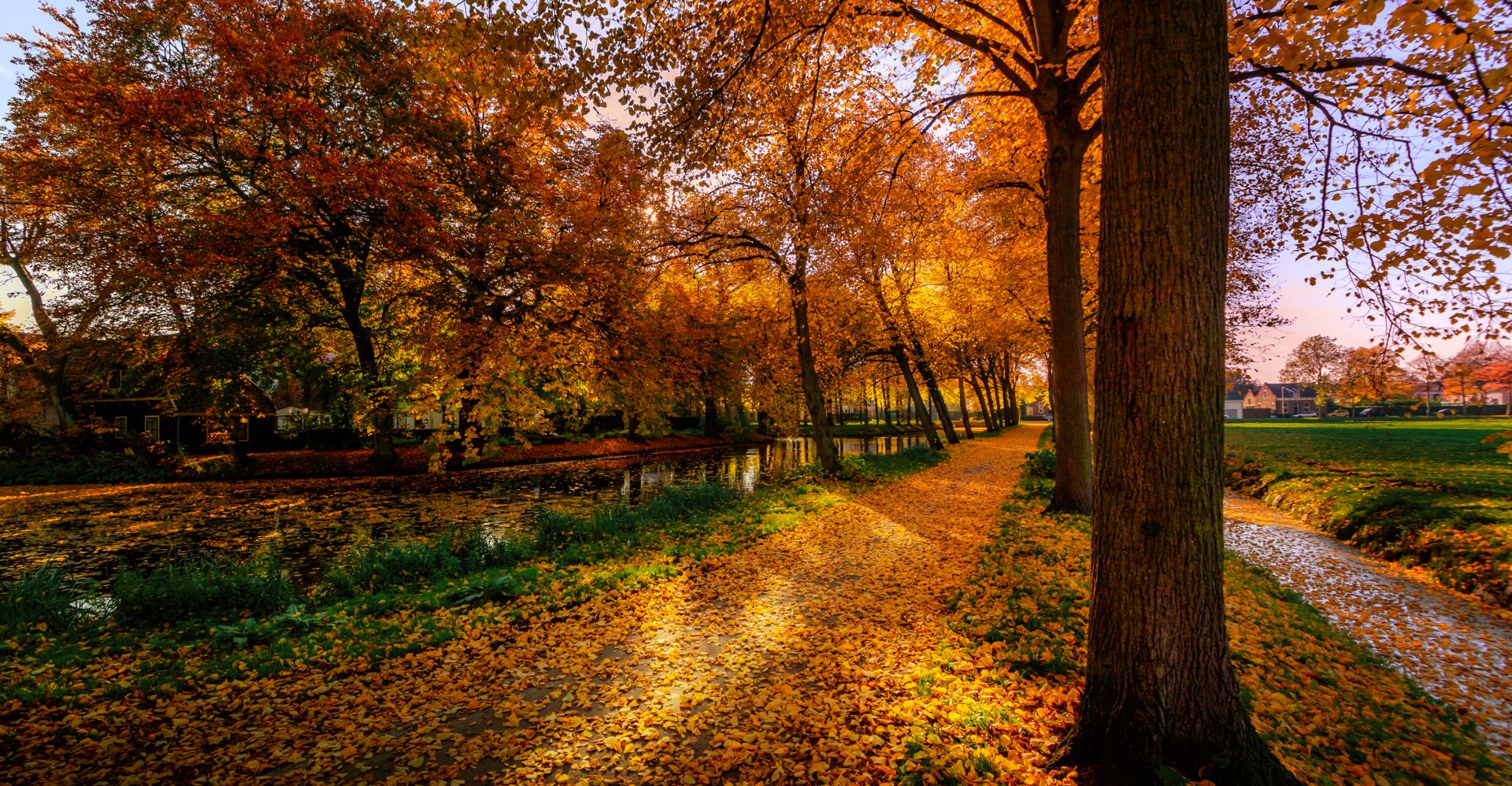 Download Tree Road River Earth Photography Fall HD Wallpaper ...