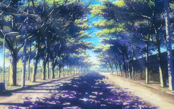 Anime Road Tree-Lined HD Wallpaper | Background Image