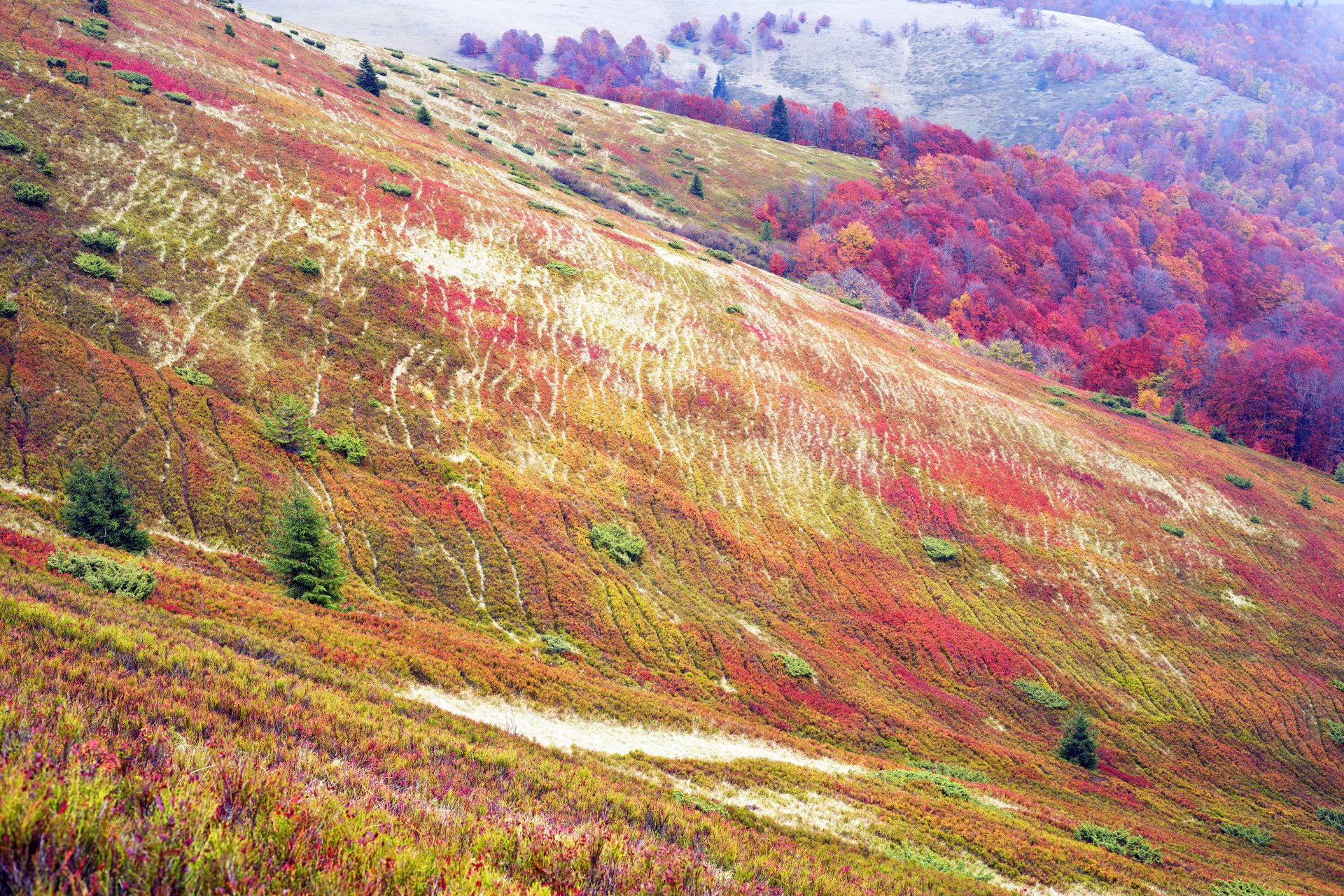 Download Nature Fall Landscape Fall Landscape 4k Ultra HD Wallpaper
