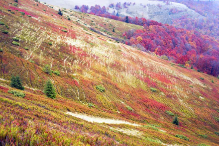 nature fall landscape fall landscape HD Desktop Wallpaper | Background Image