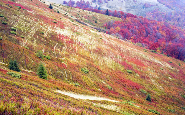 nature fall landscape fall landscape HD Desktop Wallpaper | Background Image
