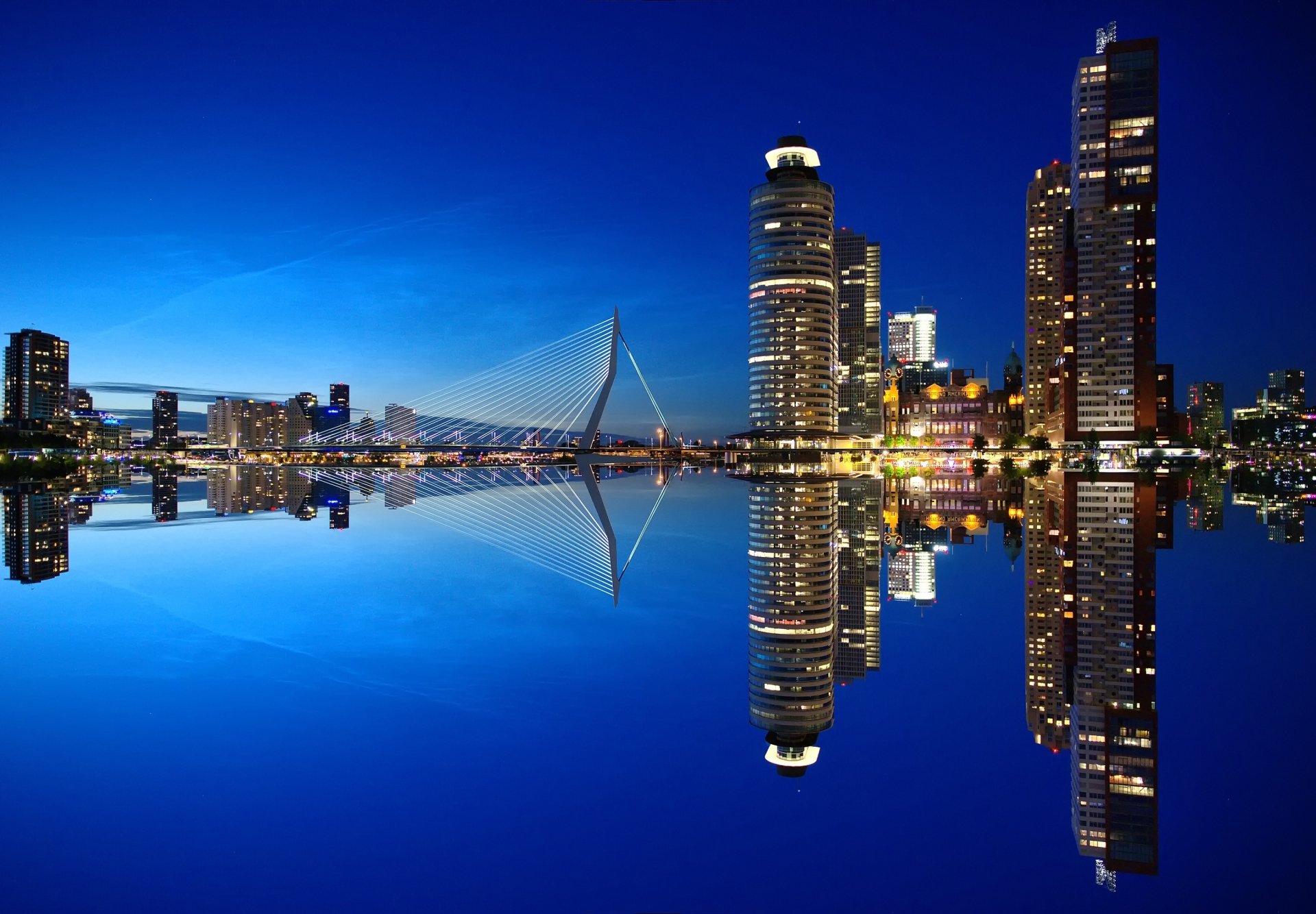 Night view of Rotterdam’s illuminated skyscrapers and Erasmus Bridge reflecting on calm water, showcasing the city's modern architecture in the Netherlands.