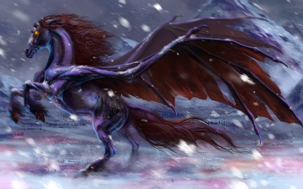 Fantasy Pegasus Fantasy Animals Horse Snowfall HD Wallpaper | Background Image