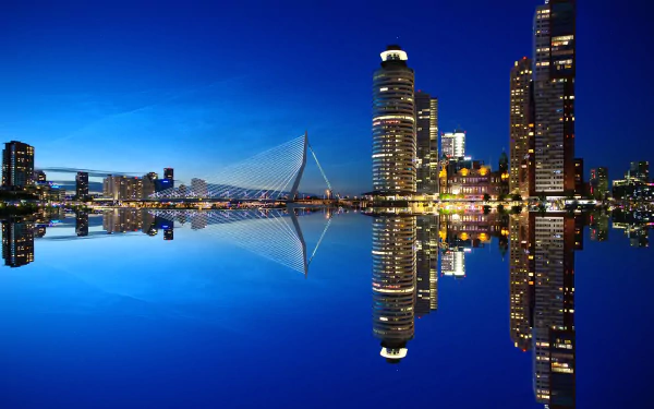 Night view of Rotterdam’s illuminated skyscrapers and Erasmus Bridge reflecting on calm water, showcasing the city's modern architecture in the Netherlands.