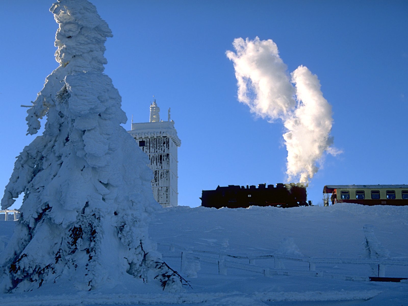 A snowy winter landscape features a towering tree, a train releasing steam, and a clear blue sky. This HD image serves as a striking desktop wallpaper or background.