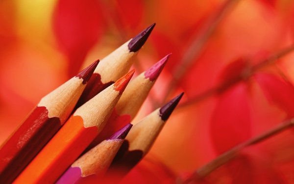 230+ Pencil HD Wallpapers | Background Images