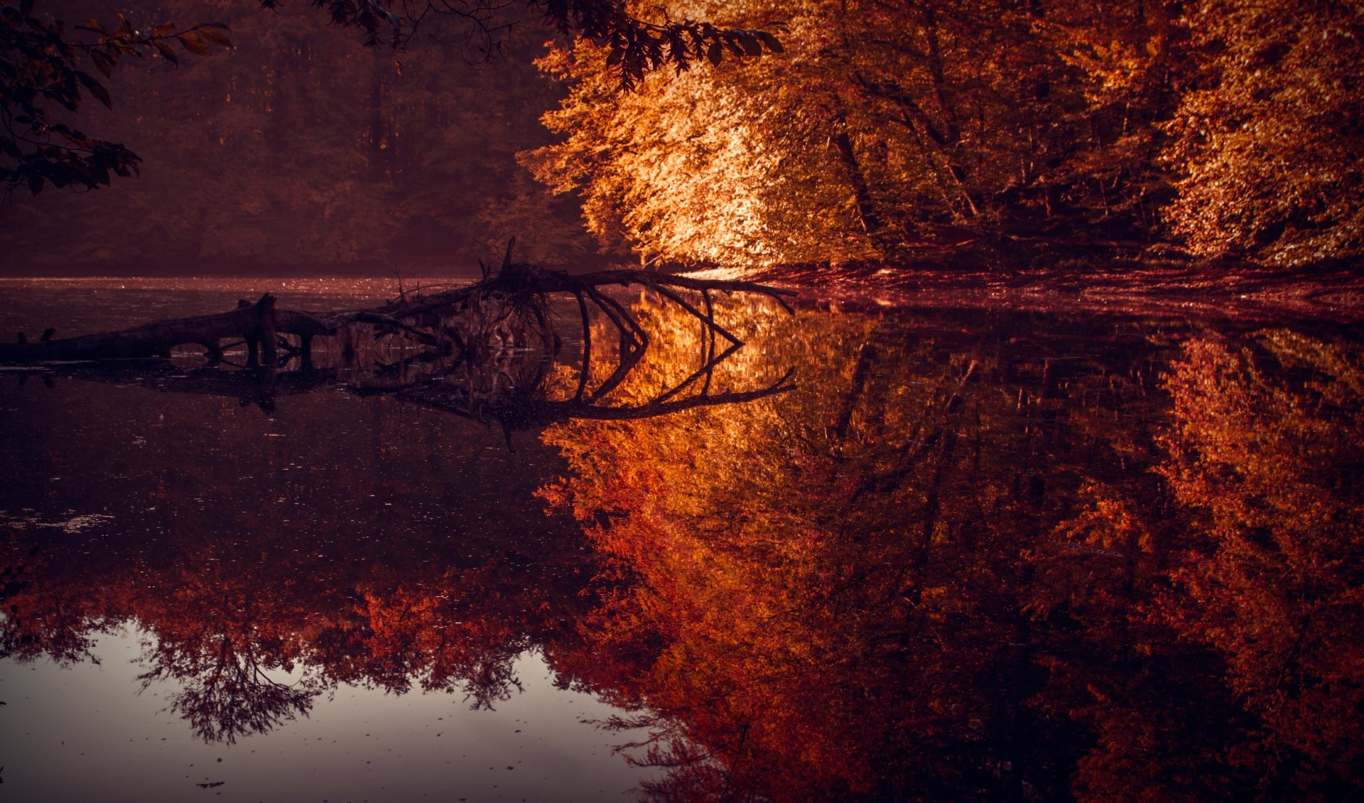 Reflection 4k Ultra HD Wallpaper