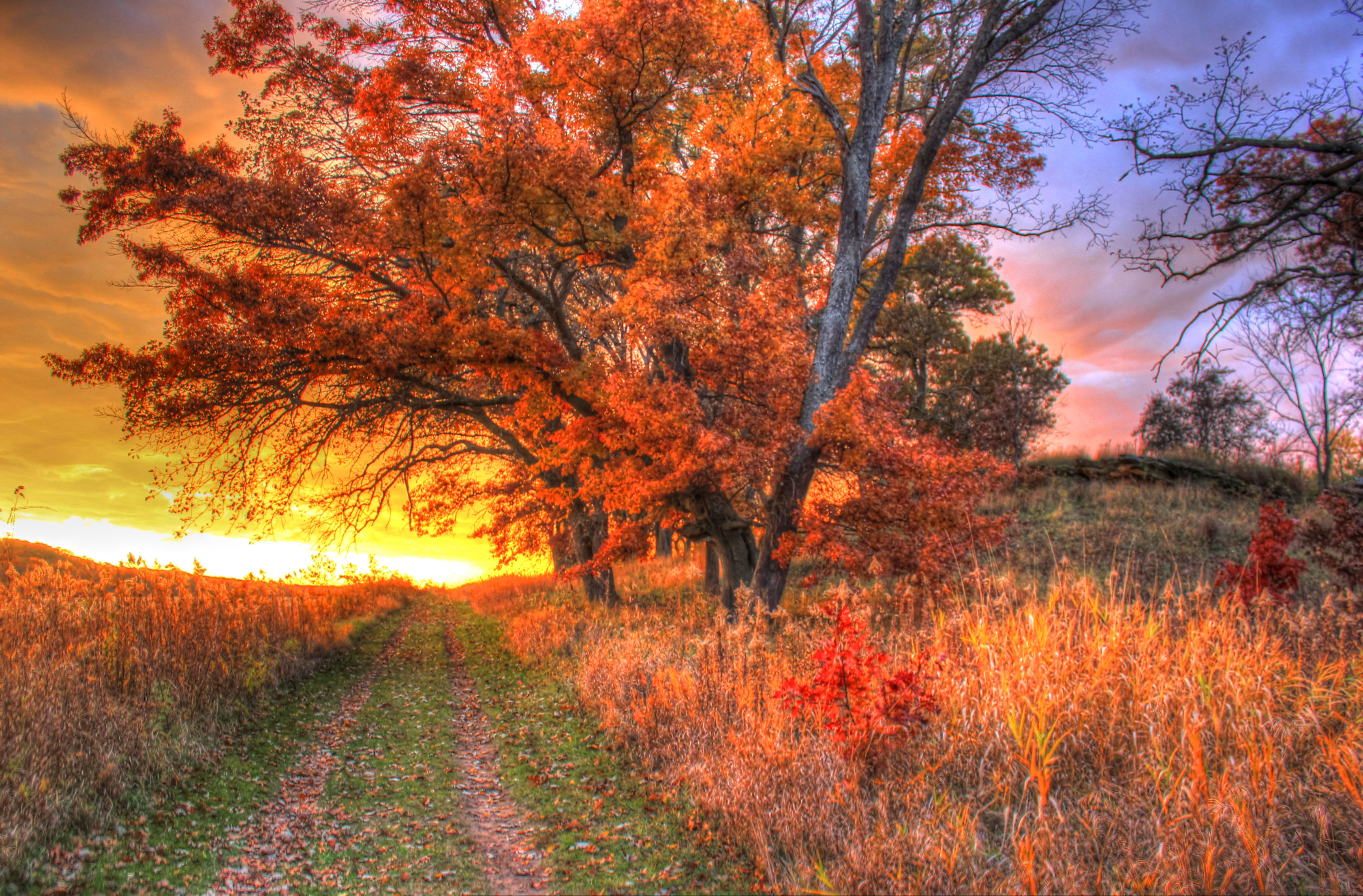 In autumn many. Осенний закат. Осенний рассвет. Красивый осенний закат. Закат осенью.