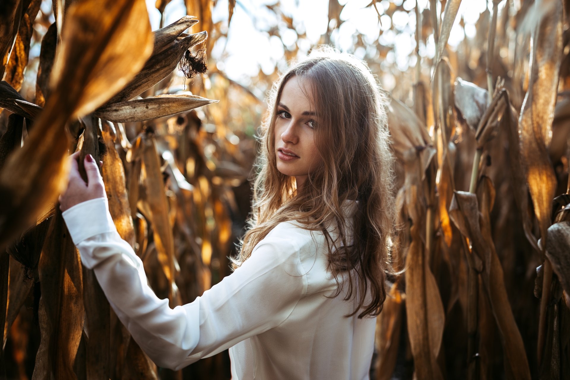 Download Brown Eyes Brunette Woman Model 4k Ultra HD Wallpaper by D.G Photography