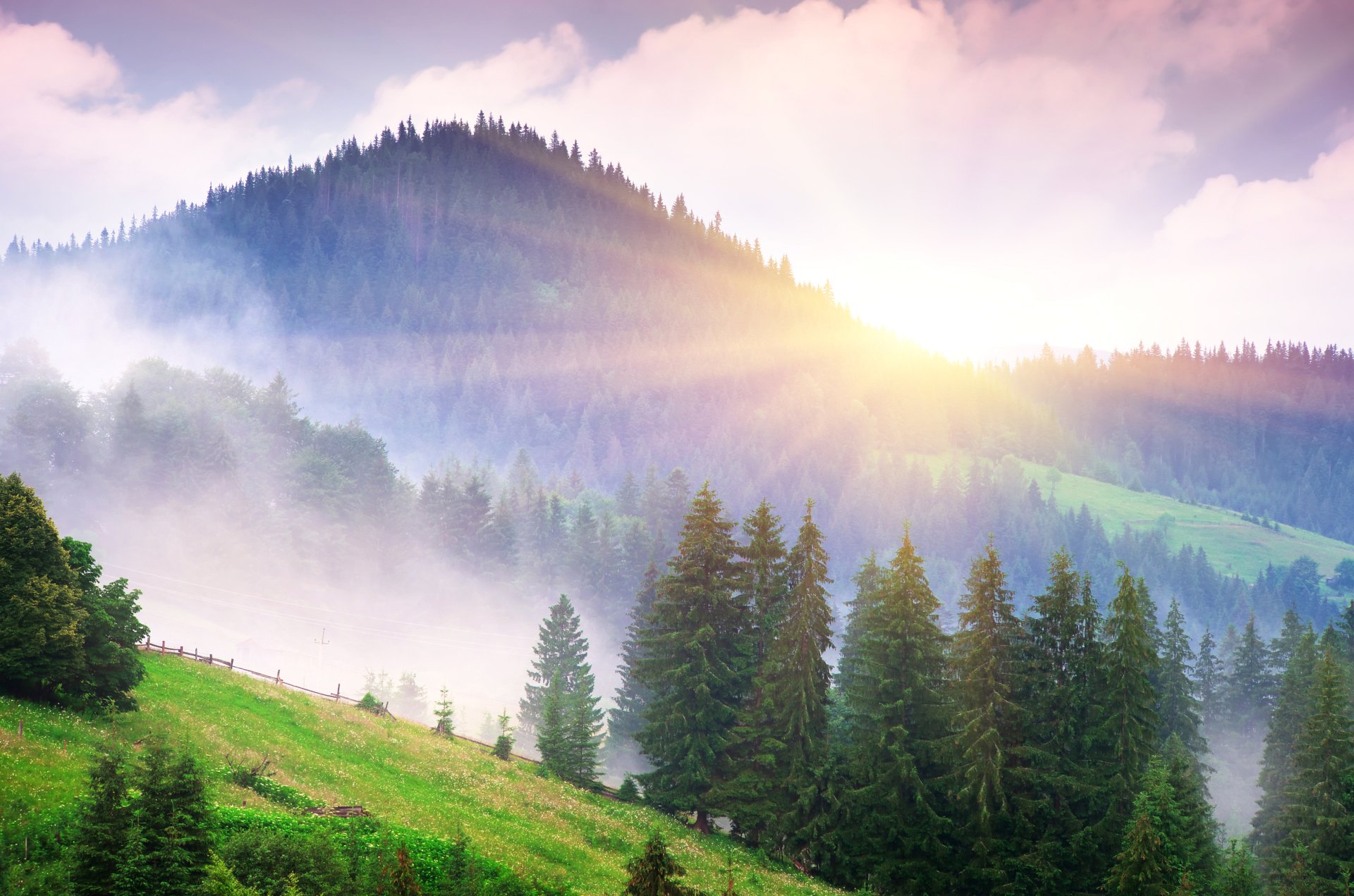 Download Mountain Tree Nature Fog Sunbeam HD Wallpaper