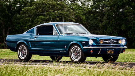 A classic blue Ford Mustang Fastback muscle car parked on grass with trees in the background, showcased as an HD PC desktop wallpaper and background.