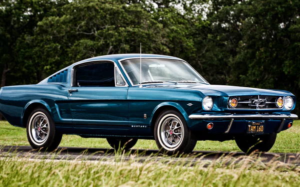 fastback car muscle car Ford Ford Mustang vehicle Ford Mustang Fastback HD Desktop Wallpaper | Background Image