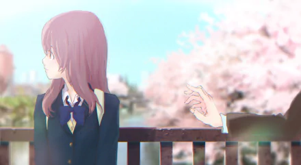 A serene scene from A Silent Voice, featuring Shouko Nishimiya sitting on a bench, with cherry blossoms in the background, capturing a moment of connection and introspection.