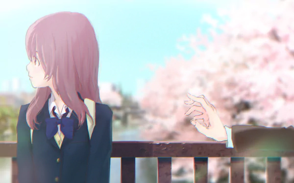 A serene scene from A Silent Voice, featuring Shouko Nishimiya sitting on a bench, with cherry blossoms in the background, capturing a moment of connection and introspection.
